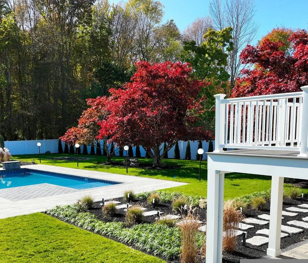 Lawn installation by Contrast Landscape