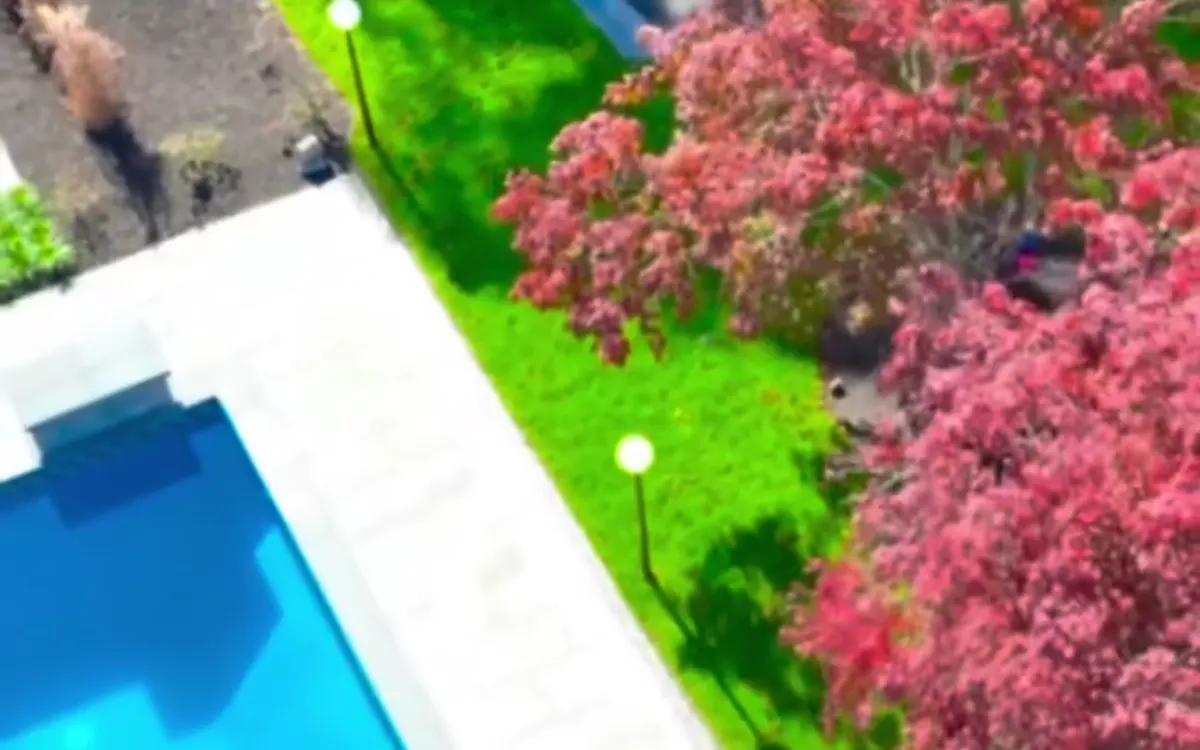 Poolside landscaping with planted beds and a surrounding patio